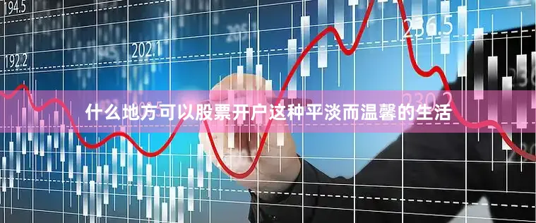 什么地方可以股票开户这种平淡而温馨的生活